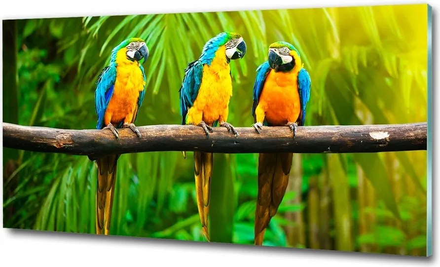 Fotó-üvegkép Papagájok az ágon 100x70
