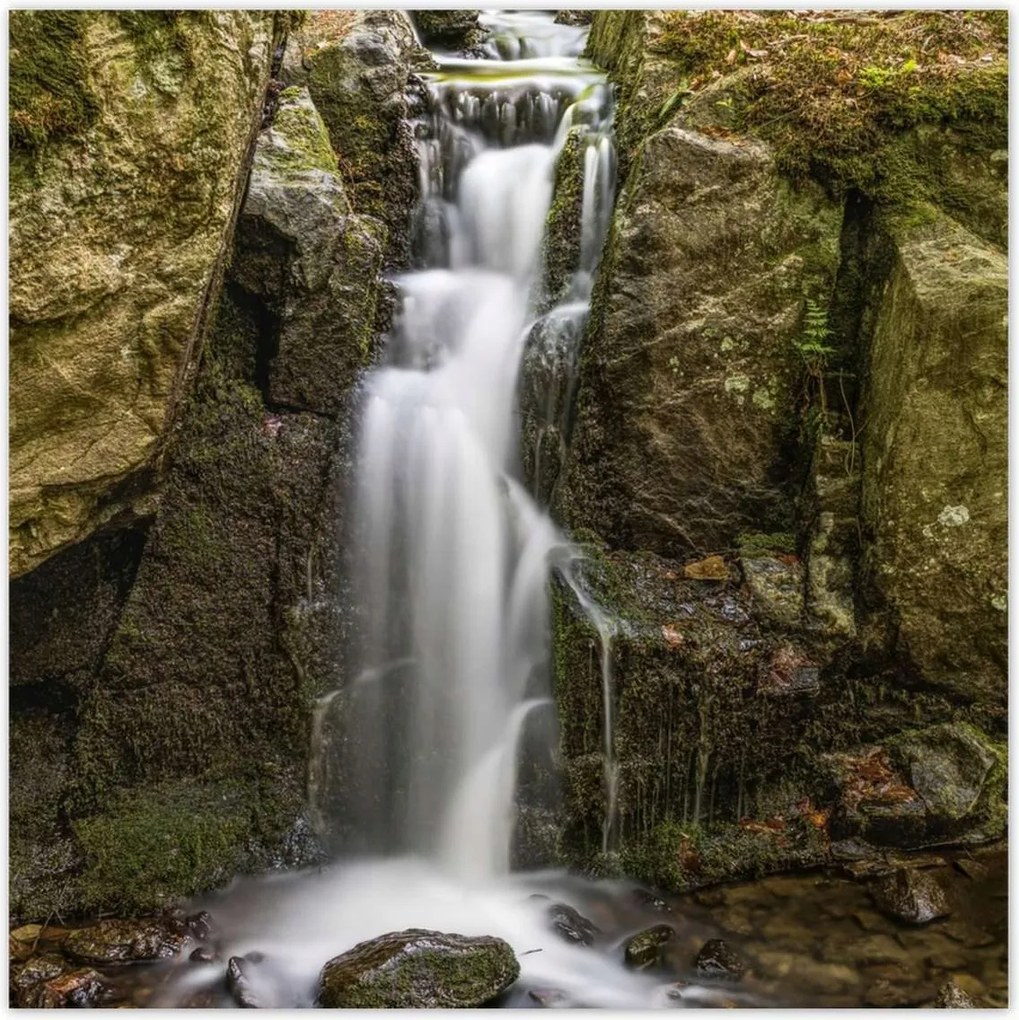 Poszterek 100x100 Vízesés Erdei zuhatag