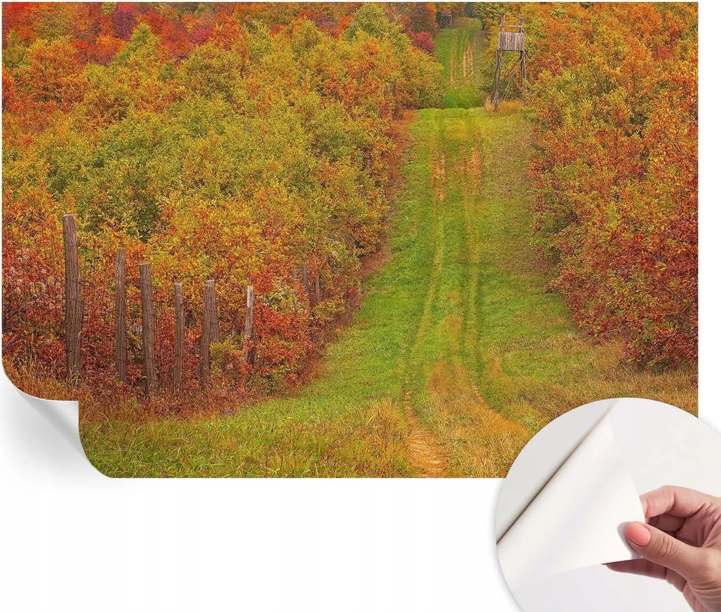 Modern öntapadós fotótapéta Mosható Őszi színek 152x104 cm