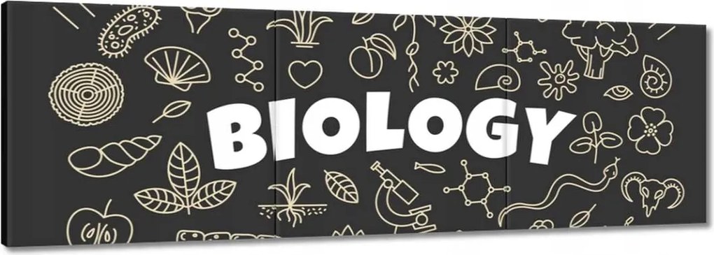Vászonkép 90x30 Biológiai osztály motívum