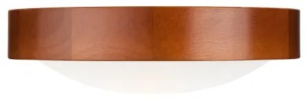 Mennyezeti lámpa 1xE27/60W/230V