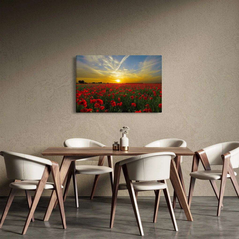 Egy kép a pipacs mezőről (90x60 cm)