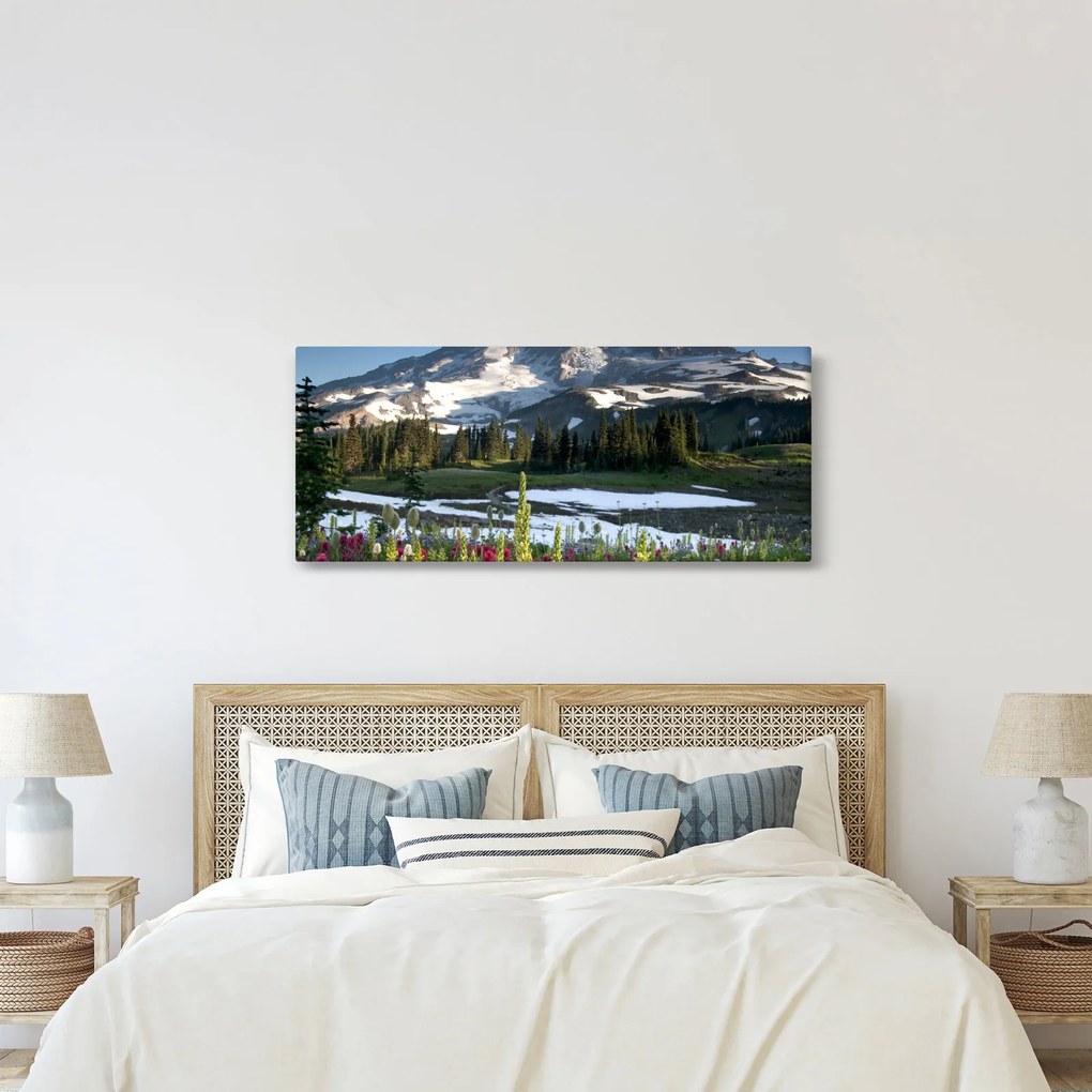 Kép - Mount Rainier (120x50 cm)