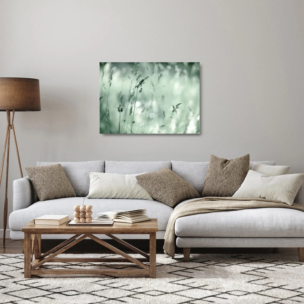 Üveg kép - Zöld rét (70x50 cm)