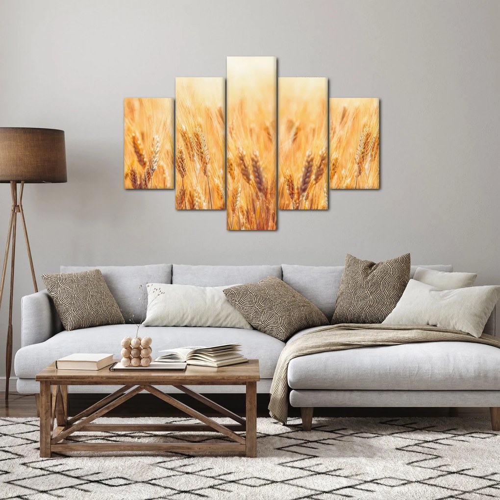 Kép - mező gabonával (150x105 cm)