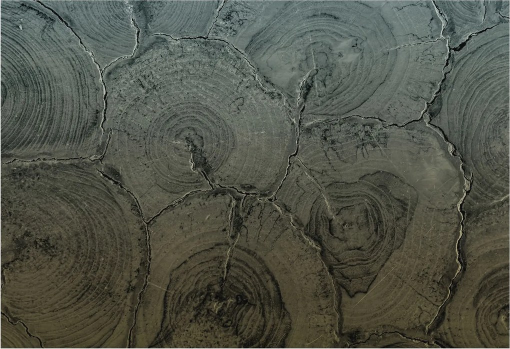 Fotótapéta Flizelin Dekoratív Hálószoba Fa tégelyek 152x104