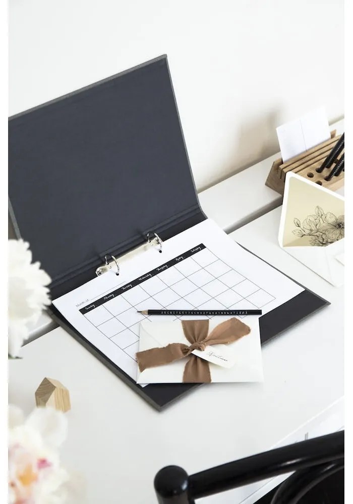 Karton rendszerező dokumentumokhoz Ringo – Bigso Box of Sweden