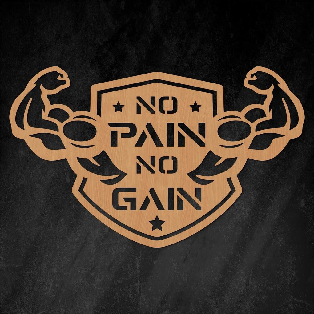 Motivációs kép - No Pain No Gain