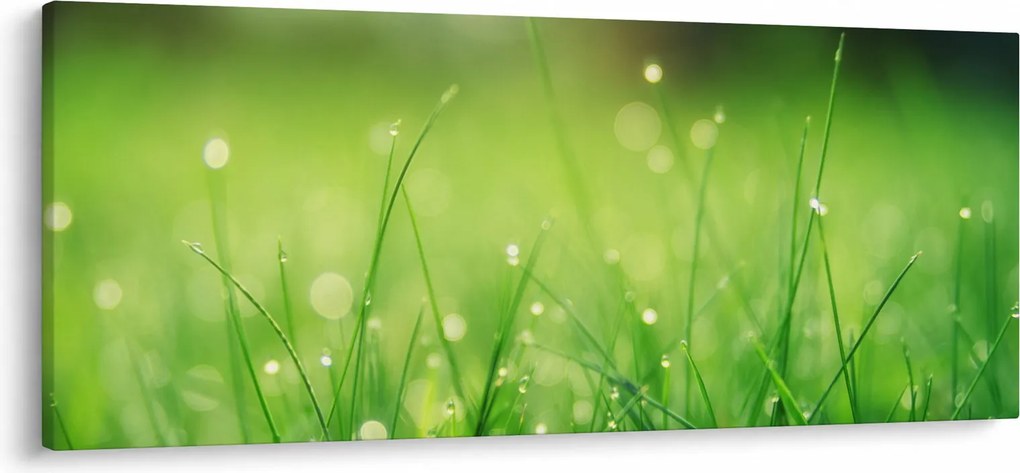 Kép - harmatos fű (120x50 cm)