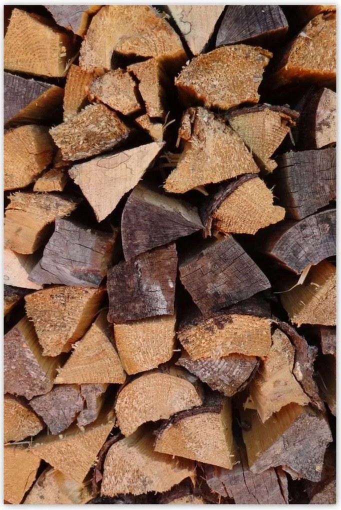 Poszterek 80x120 Fa a kandallóhoz