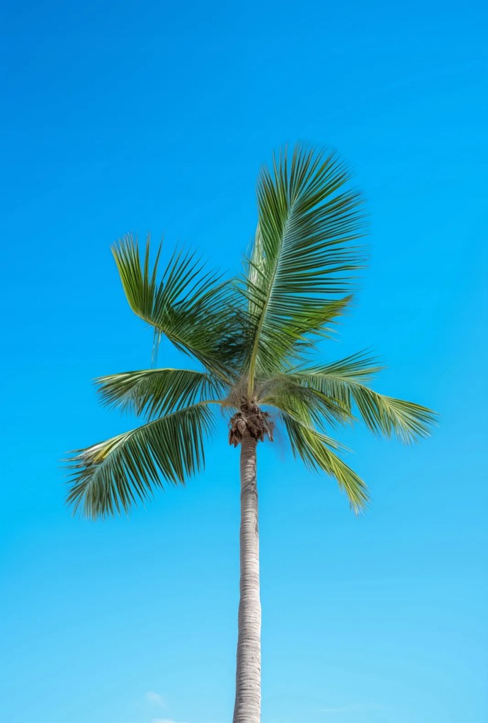 Poszter 67,5x100cm Égi magaslatok