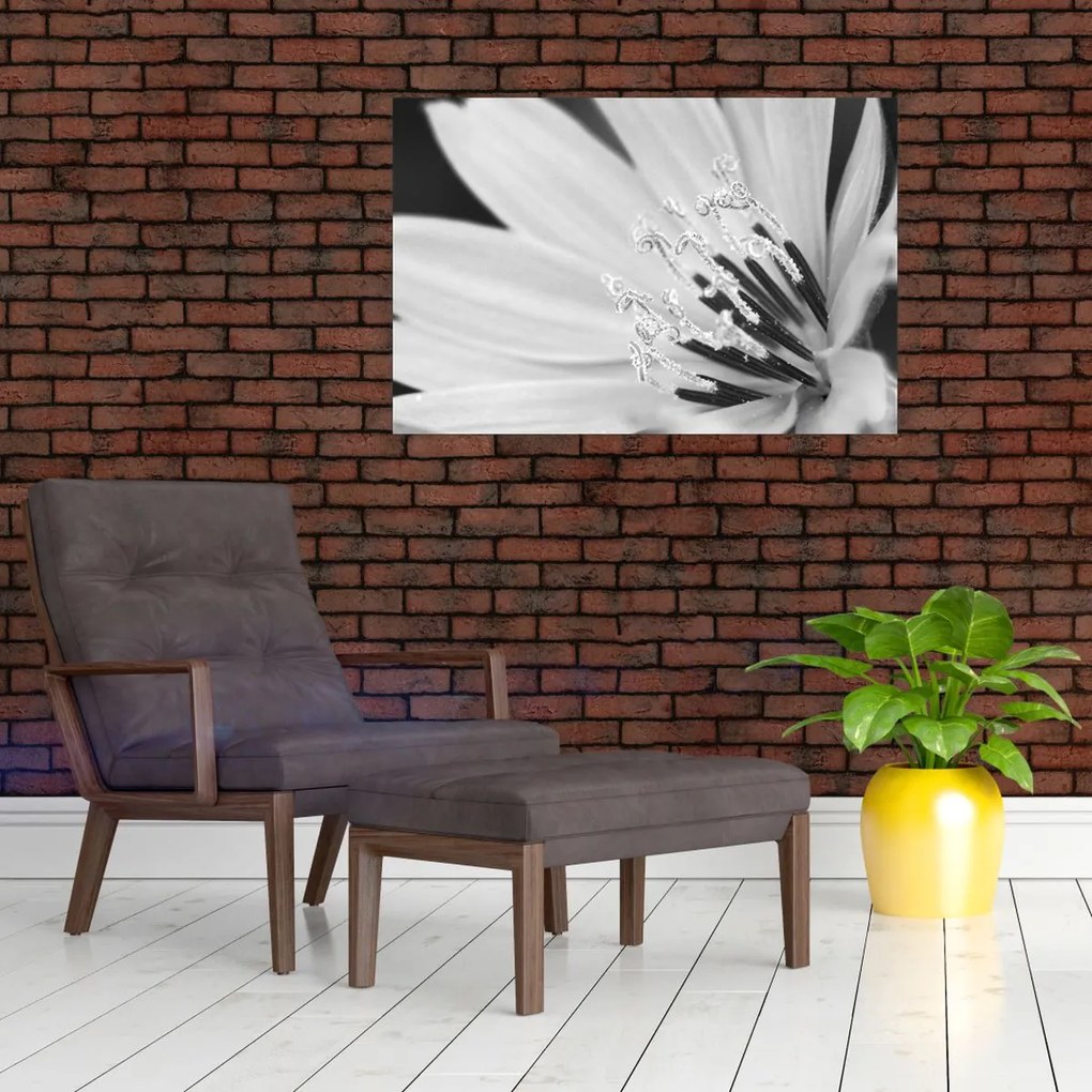Kép - Fekete-fehér virág (90x60 cm)