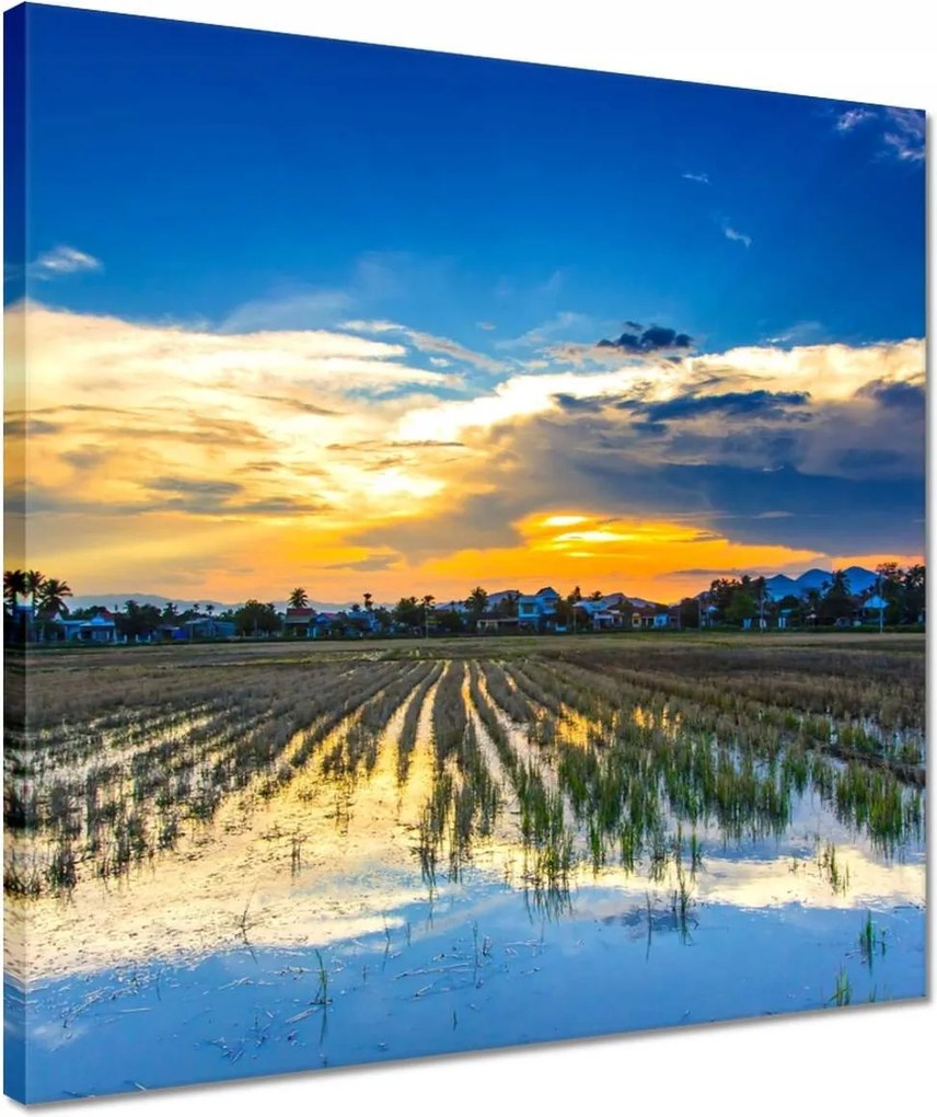 Vászonkép 40x40 Tájkép Látvány