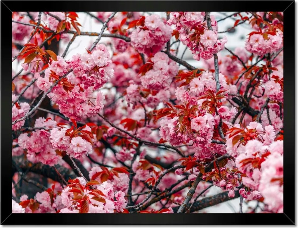 Poszterek keretben 40x30 Finom virágok Virágok