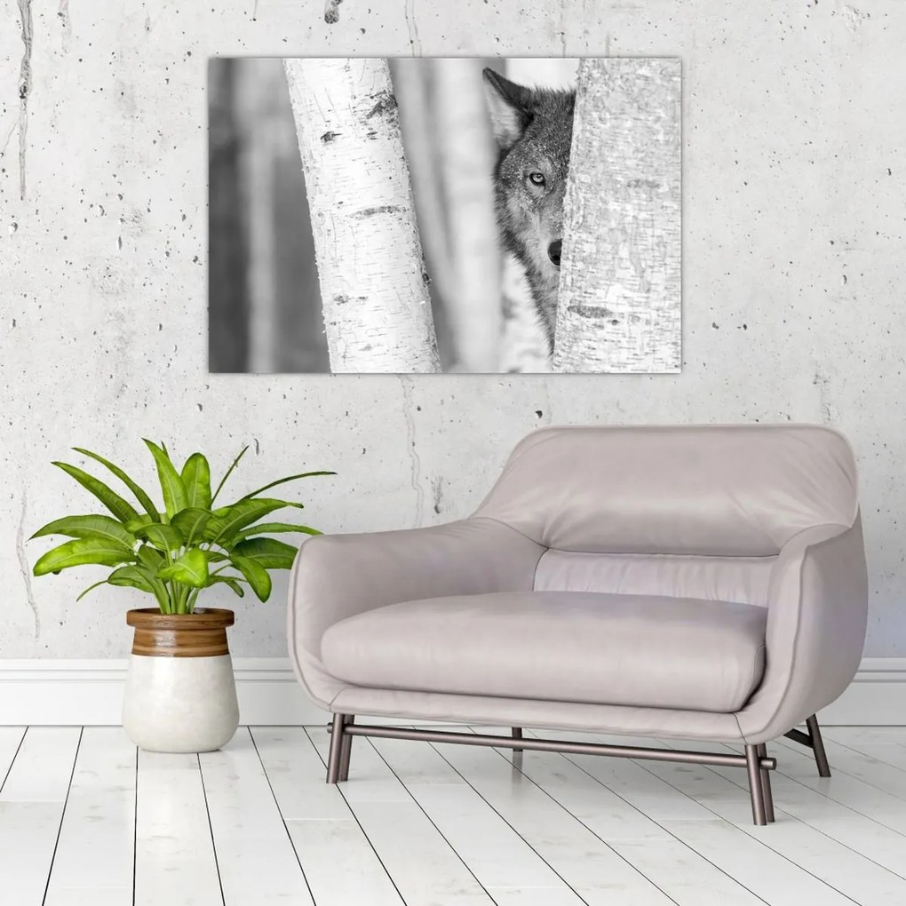 Kép - Farkas az erdőben (90x60 cm)