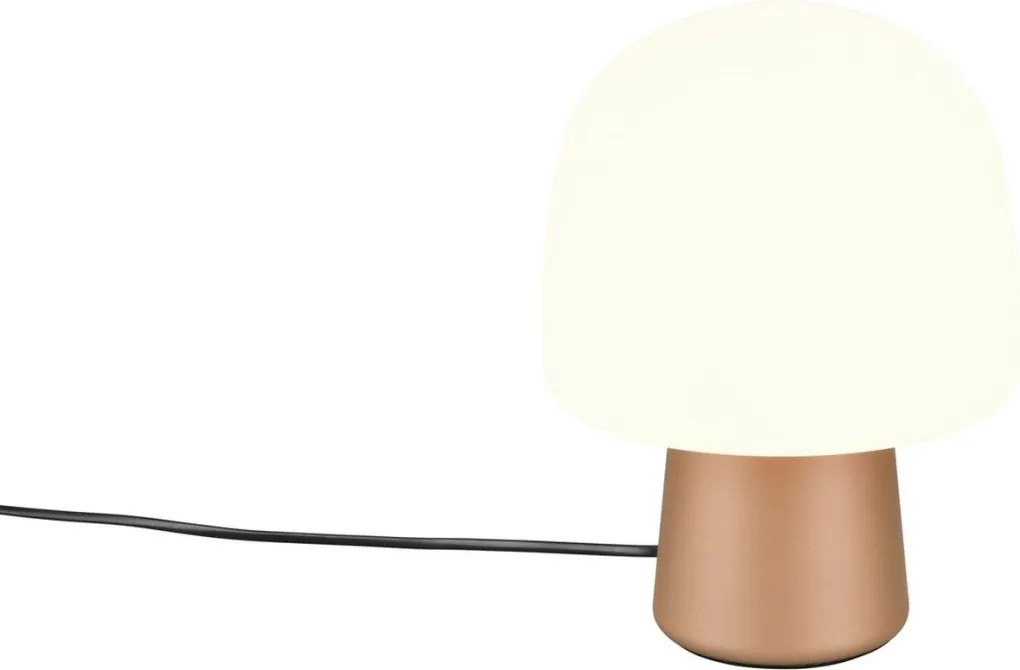 Trio STEEN 568200165 Asztali lámpa 1x10w/e14 ip20