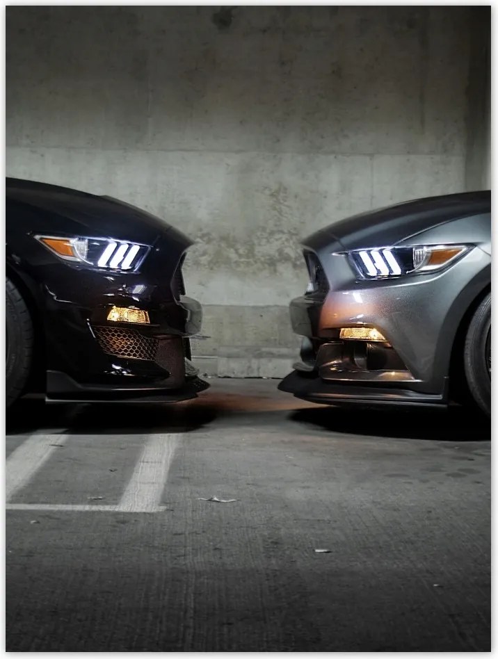 Poszterek 30x40 Face to face Mustang