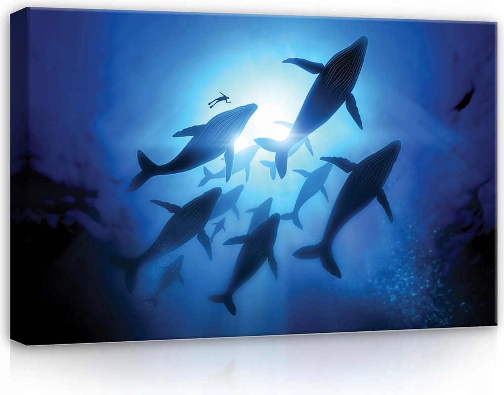 Vászonkép 60x40 Bálnák bálnák óceán a víz alatt búvár napfény