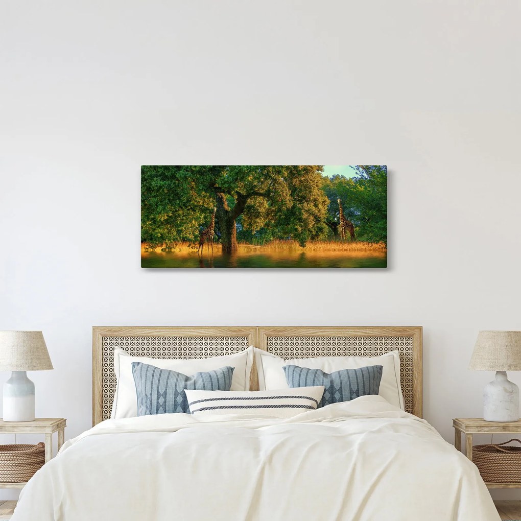 Zsiráf a természetben képe (120x50 cm)