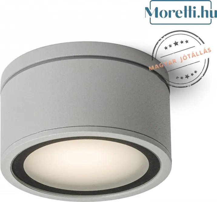 Kültéri Mennyezeti Lámpa Ezüst MERIDO RENDL R10429