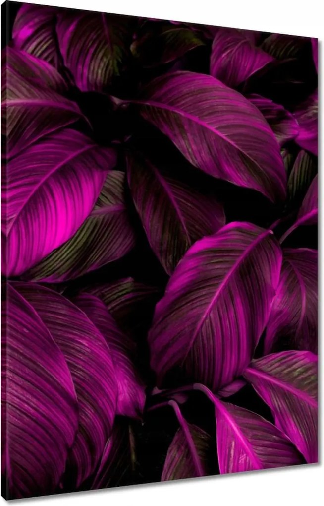 Vászonkép 60x80 Gyönyörű fukszia levelek