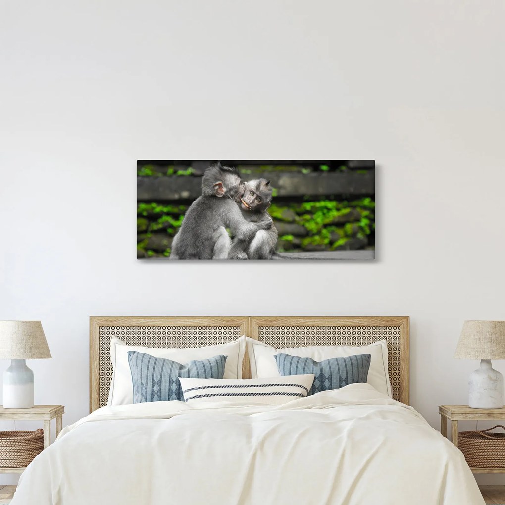Kép - majmok (120x50 cm)