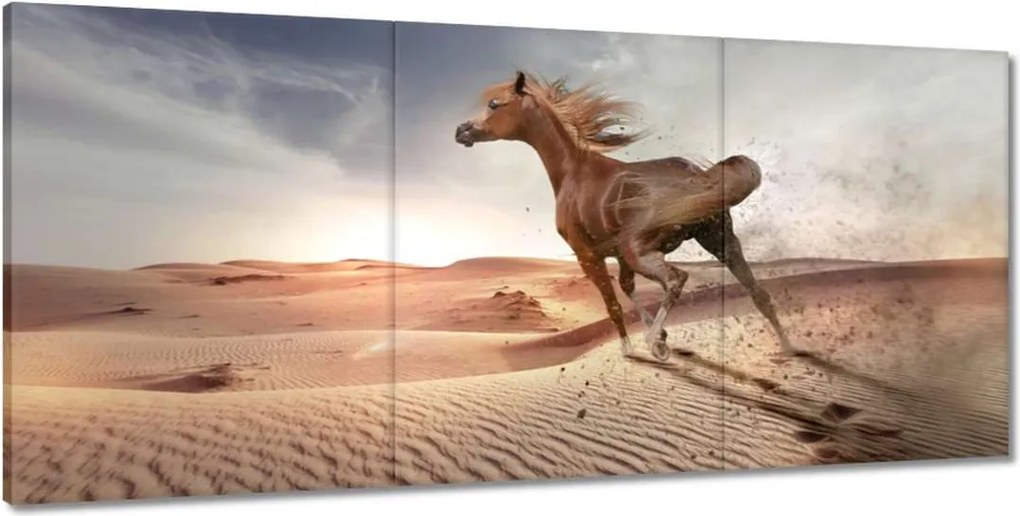 Képek 210x100 Galoppozó ló