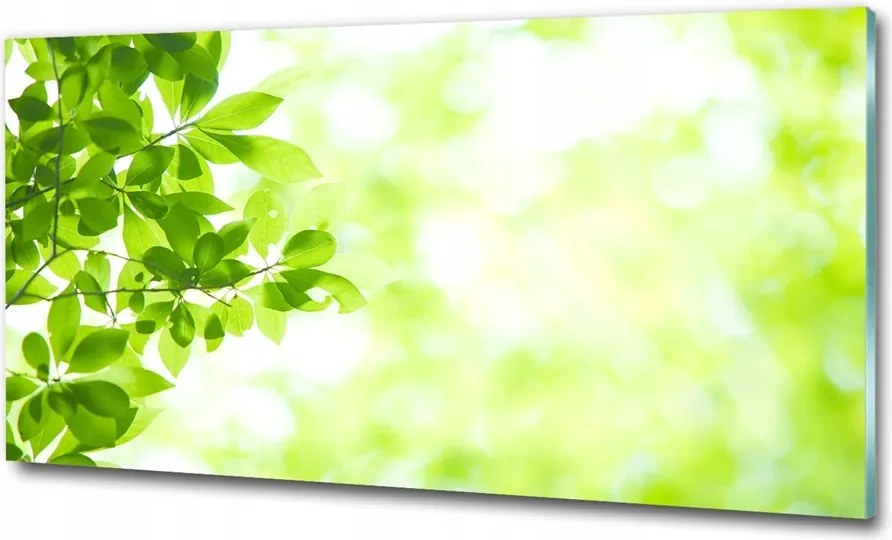 Fotótapéta falra edzett üveg Levendula 125x50