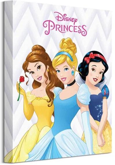 Vászonkép Disney Hercegnők (Bella, Hamupipőké éa Hófehérke) 30x40cm WDC92705