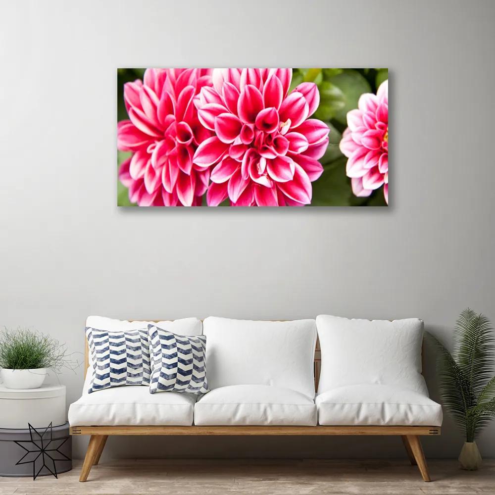 Vászonkép Virág növény természet 140x70 cm