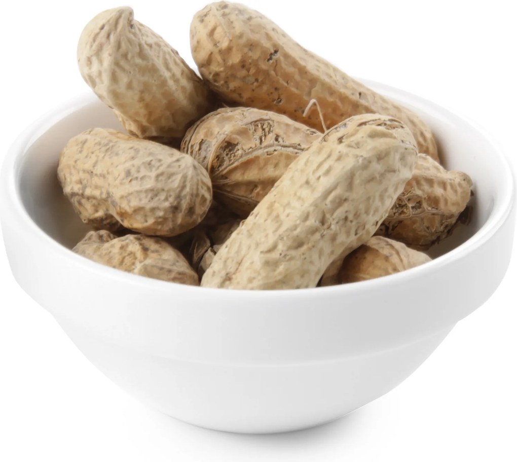 Snack Tál Tapas Dipow Porcelán Salátástál Szett 6DB-OS Erős