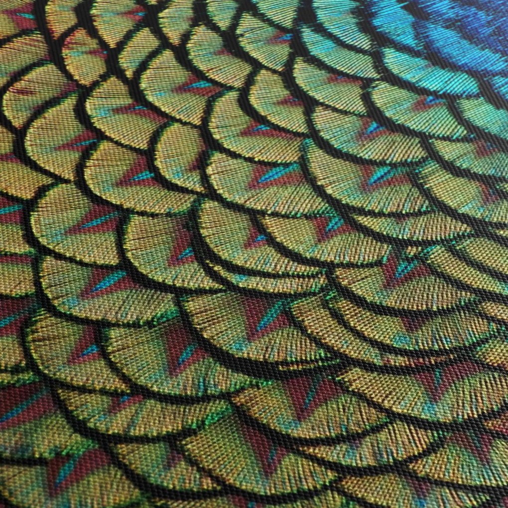 Kép - Pávatollak (90x60 cm)