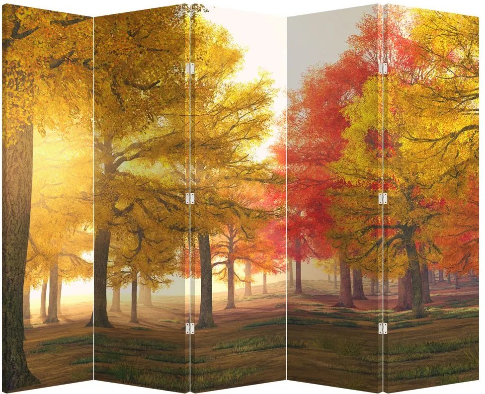 Paraván - Őszi fák (210x170 cm)