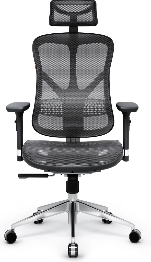 Ergonomikus hálós irodai szék, fekete-szürke: Diablo V-Basic