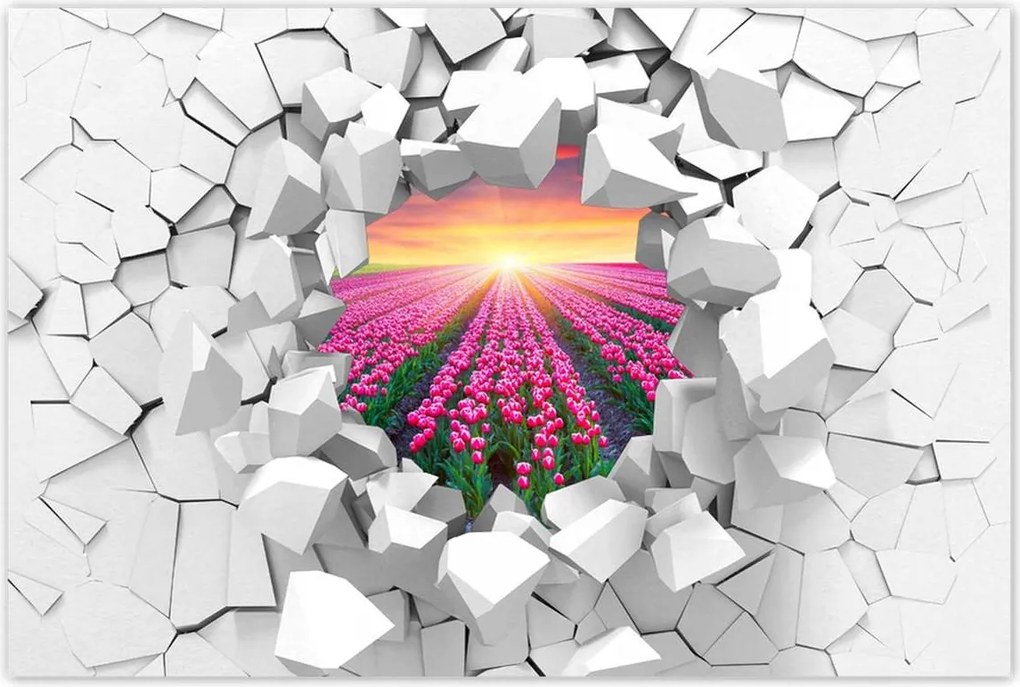 Poszterek 120x80 Tulipánok tengere Virágok