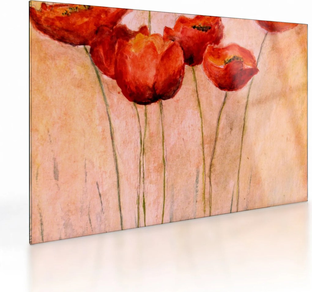 Kép - piros tulipán (üvegen) (70x50 cm)