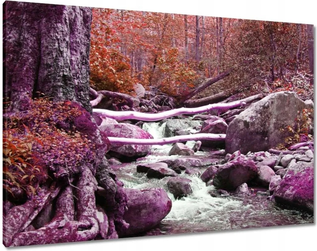 Vászonkép 100x70 Lila zuhatag