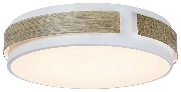 Rabalux 5646 - Dimmelhető SALMA mennyezeti LED lámpatest, 24W/230V