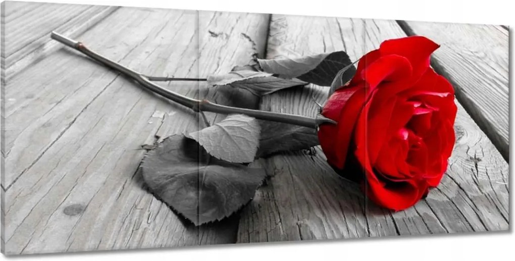 Képek 210x100 Vörös rózsa a deszkákon