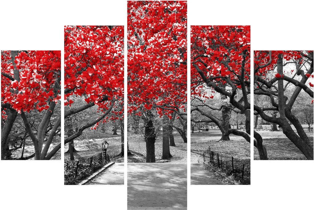 Kép - vörös fák,Central Park, New York (150x105 cm)