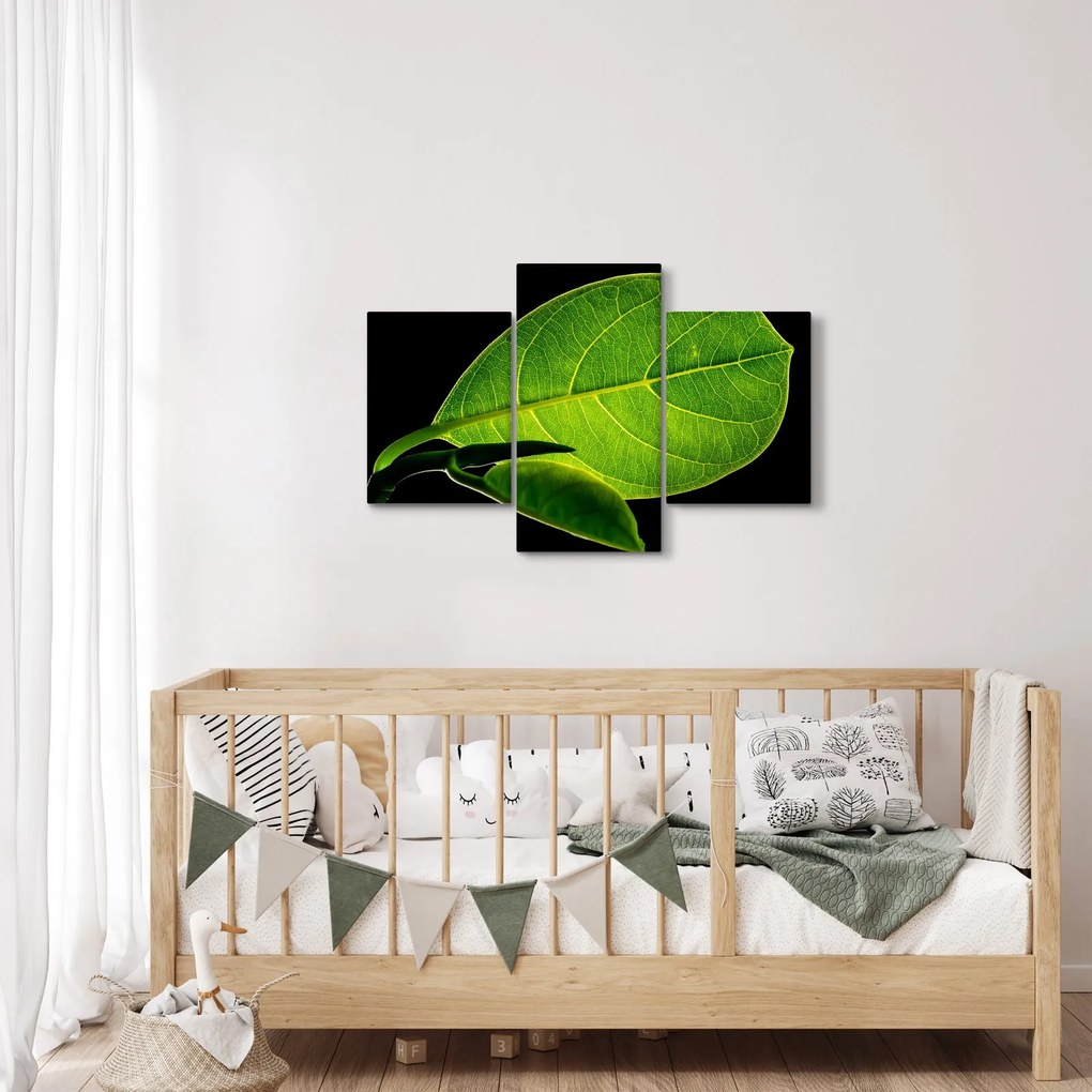 Kép - zöld levél (90x60 cm)