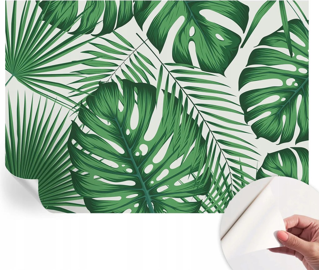 Design fali fotótapéta öntapadós Trópusi levelek 312x219 cm