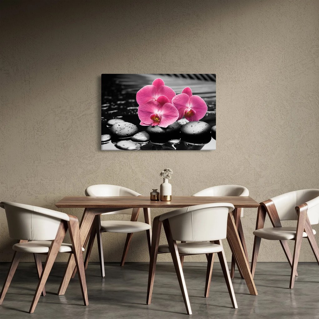 Kép - Rózsaszín orchideák (90x60 cm)