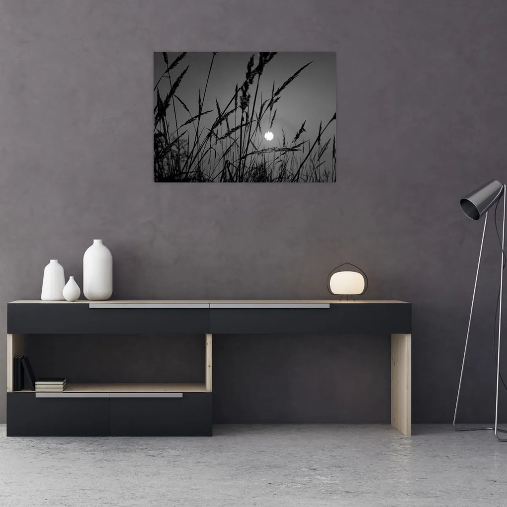 Üveg kép - rét naplementével (70x50 cm)