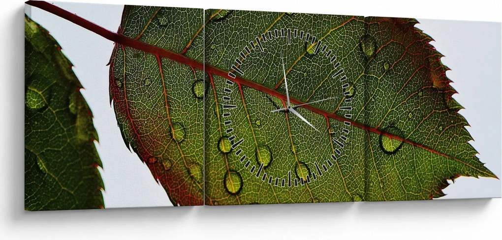 Kép - Rózsalevél (órával) (90x30 cm)