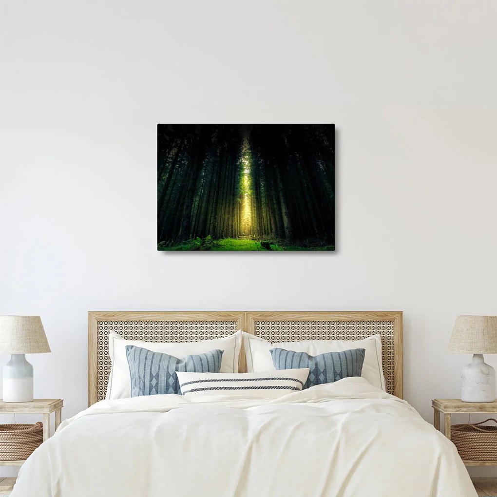 Sötét erdő képe (70x50 cm)