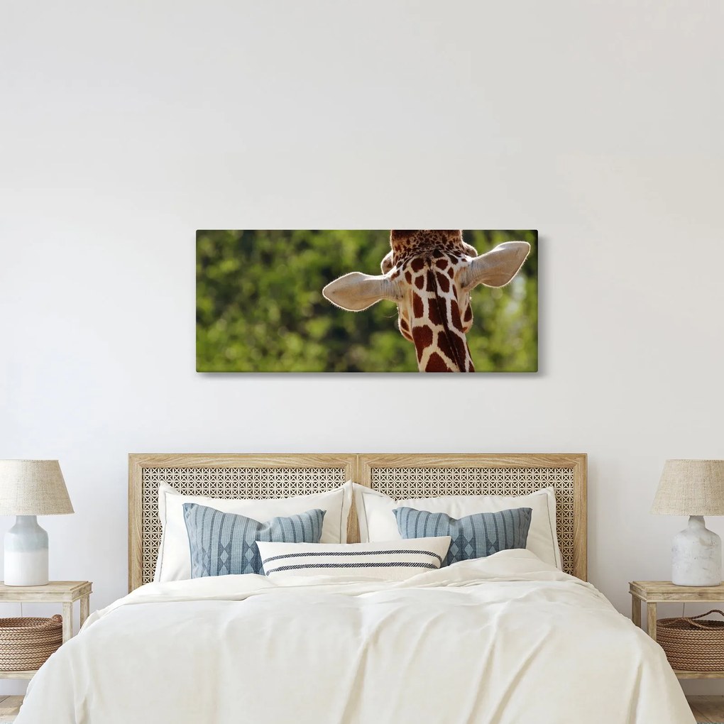 A zsiráf képe hátulról (120x50 cm)