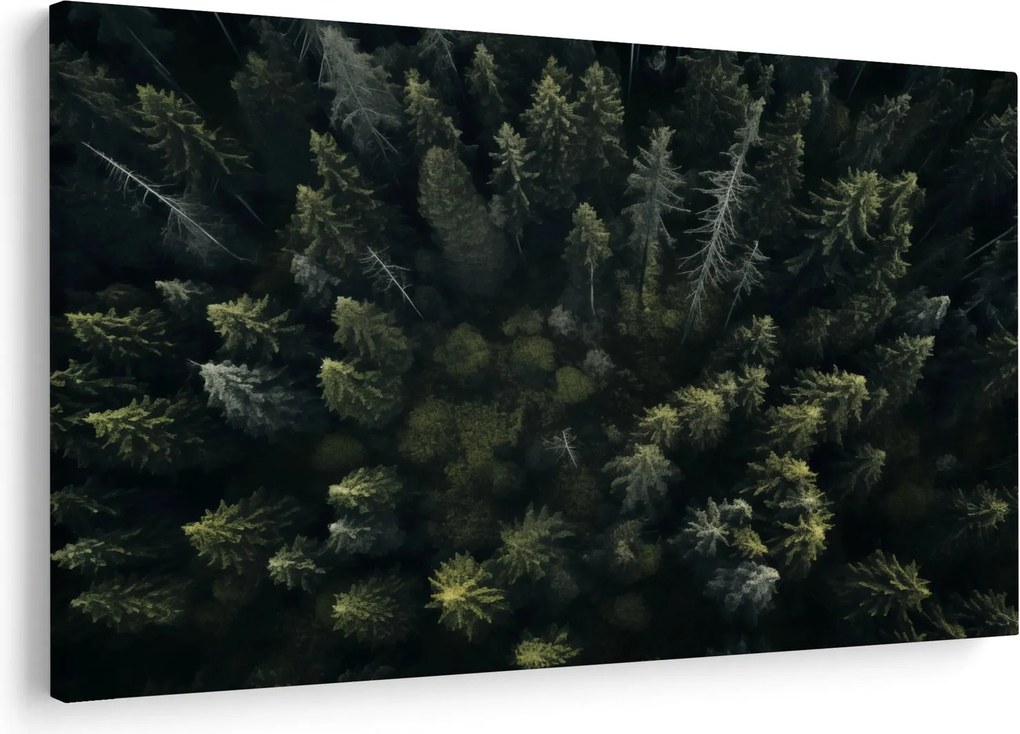 Kép - Forest (90x60 cm)