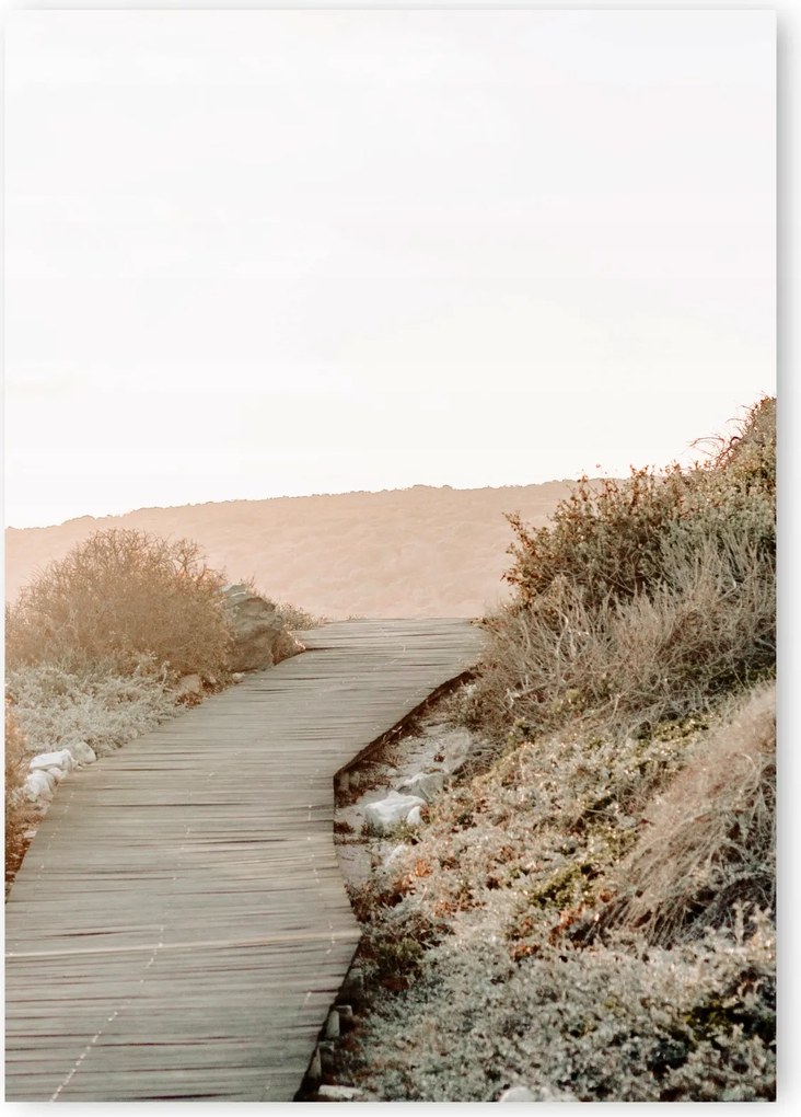 Boho természet drága poszter 50x70cm #20E