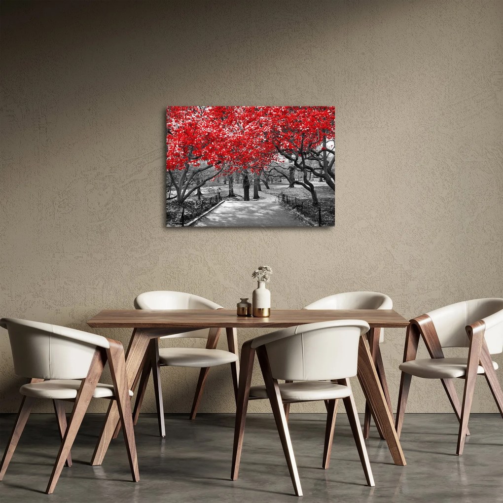 Kép - vörös fák,Central Park, New York (70x50 cm)